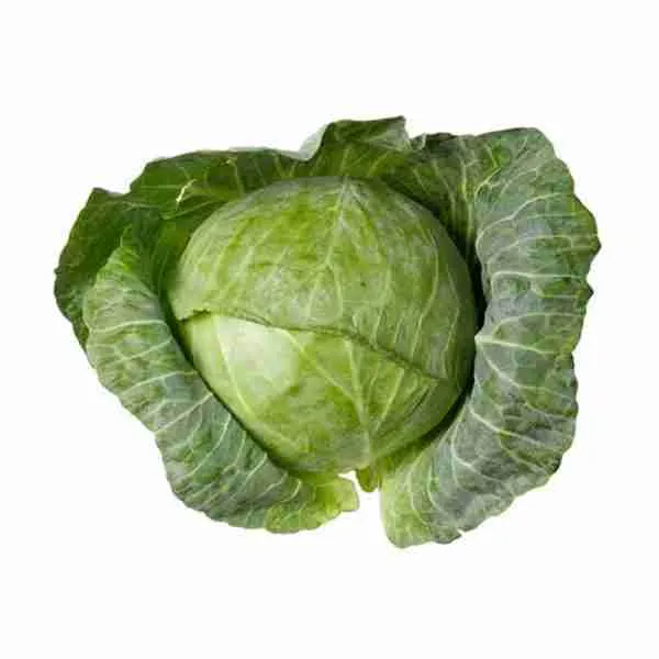 Wakamine cabbage of Balutakay Bansalan