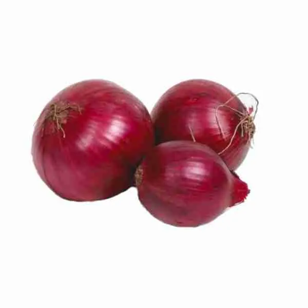 Red Onion