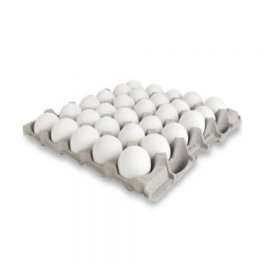 white eggs 1 tray