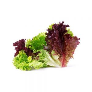 Mixed Salad Lettuce