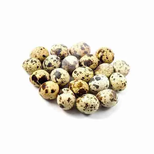 quail eggs