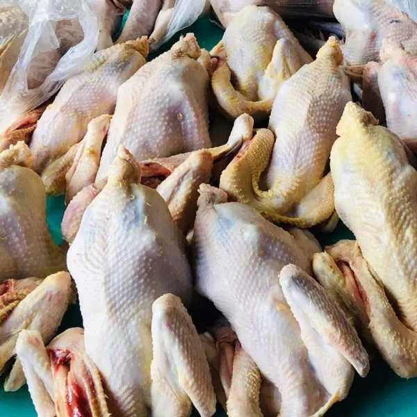 Native Chicken