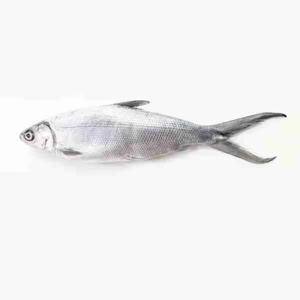 Alcantara Bangus Whole Bangus for Grill
