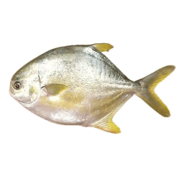 Pompano fish