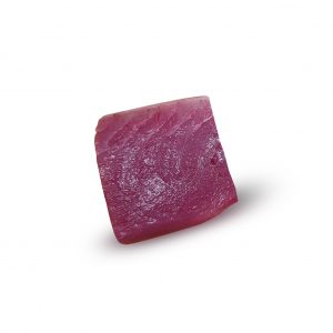 Tuna Meat