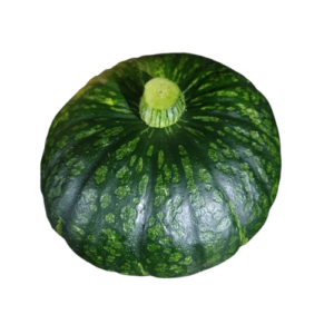 Kabocha - Japanese Squash