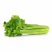 Celery